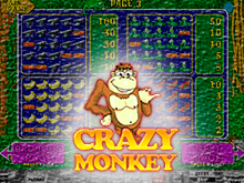 Crazy Monkey: играть в демонстрационном режиме